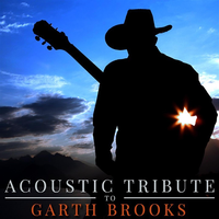 Standing Outside the Fire - Guitar Tribute Players