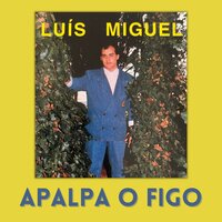 Coração Iludido - Luis Miguel
