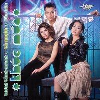 Khúc Mưa - Lương Tùng Quang