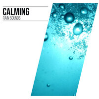 Asleep in the Rain - Nature Sounds XLE Library, Life Sounds Nature, Deep Sleep FX & Life Sounds Nature & Deep Sleep FX & Nature Sounds XLE Library