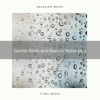 Signing Birds and Wild Noise for Spa pt. 2 - Spa Music Hour