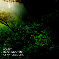 Stream Music - Nature Lab & Nature on Record & Nature Field Recordings