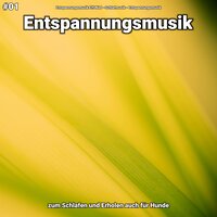 Entspannungsmusik pt. 17 - Entspannungsmusik Elfi Niel & Schlafmusik & Entspannungsmusik