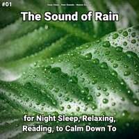 Cool Nature Sounds of Rain - Deep Sleep & Rain Sounds & Nature Sounds