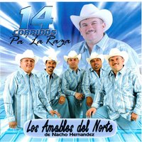 Saul Ruiz - Los Amables del Norte