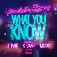 What You Know - Trendsetter Sense & Migos & T-Pain & K Camp
