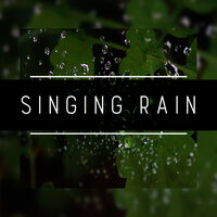ASMR Rain: Rain on Water - Serenity Music Relaxation & Lightning, Thunder and Rain Storm