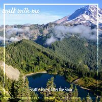 Seattle Forest After the Snow, Pt. 5 - Daniel Dodik