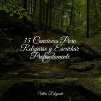 Peluche - Ambiente & Naturaleza Relajacion & Música a Relajarse