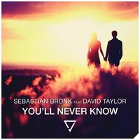 You'll Never Know - David Taylor & Soul Cartel & Sebastian Bronk