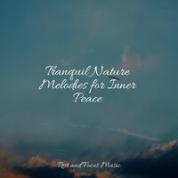 Fireside Ambiance - Massage Tribe & Monarch Baby Lullaby Institute & Brain Study Music Guys