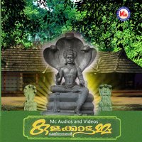 Naasangal Theendaathirikkan - Minmini