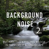 Enchanting Babbling Brook in the Forest Soundscape, Pt. 20 - Thomas O'Reilly