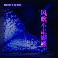 风吹不走蝴蝶 - 江如玥