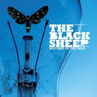 On the Ground - The Black Sheep