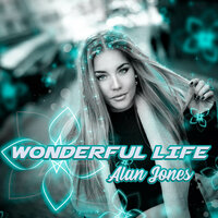 Wonderful Life - Alan Jones