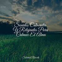 Jardín De Serenidad - Relajante Musica & Musica para Dormir Dream House & Sonidos de lluvia para dormir