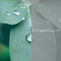 Regen - Tiefschlaf - Regengeräusche & Regengeräusche Orchester & Regen zum Schlafen