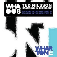 Standing In The Dark (Part 1) - Ted Nilsson