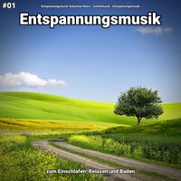 Angenehme Gefühle - Entspannungsmusik & Schlafmusik & Entspannungsmusik Sebastian Noiro