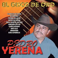 Por el Bien de los Dos - Pedro Yerena