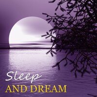 Peaceful Sleep - Soothing Music Specialists