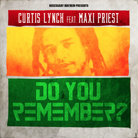 Do You Remember - Curtis Lynch