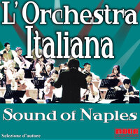 Torero - Orchestra i mandolini di Napoli, Genny Day & Genny Day & Orchestra i mandolini di Napoli