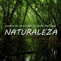 Sonidos para el Sueño Profundo: Naturaleza, Pt. 40 - Sueño Profundo Club