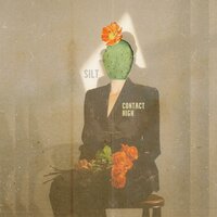 Introduction - Silt