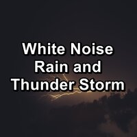 Quiet Rain and Thunder and Nature Sounds To Help You Take A Nap - Sounds of Thunder and Rain & Rain Relax & Rain Sounds for Sleeping