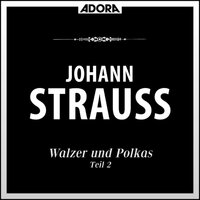 Walzer für Orchester: Man lebt nur einmal - Wiener Kammerorchester & Paul Angerer