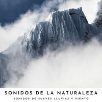 Brisas Moderadas - Sonidos De Truenos y Lluvia & Sonido de lluvia & Sonidos Naturaleza