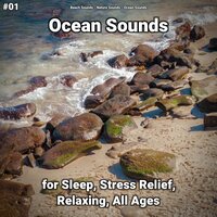 Ocean Sounds Pt. 23 - Beach Sounds & Nature Sounds & Ocean Sounds