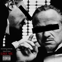 Like Me - SHANEHALLOFFAME & Trigga Trav