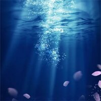睡眠小宝贝(胎教音乐) - 南国猫觅海