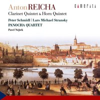 Quintet for Horn and String Quartet in E Major, Op. 106: II. Lento - Panocha Quartet & Lars Michael Stransky & Panocha Quartet, Lars Michael Stransky