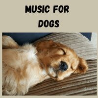 Tired Puppy Yawns - Music for Dogs & Music for Dogs Peace & Relaxing Puppy Music & Calm Pets Music Academy