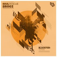 Nature of Life - Blackfish