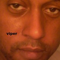 Sulphide of Antimony - Viper
