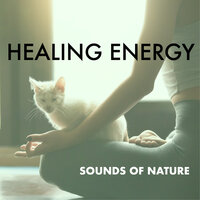 Unique Relaxing Sound Therapy - The Healing Guru