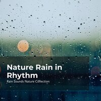 Melodic Nature Rain - ASMR Rain Sounds & Rain Sounds Nature Collection & Sleepy Rain
