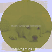 Thrilling Music for Doggy Training - Calm Dog Music Prime