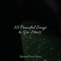 Solemn Spring - Massage Tribe & Monarch Baby Lullaby Institute & Brain Study Music Guys