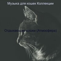 Звуки (Котята) - Музыка для кошек Коллекции