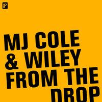 Angel Riddim - MJ Cole