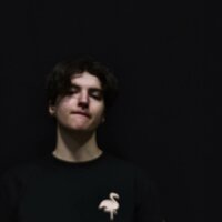 Something New - Geko
