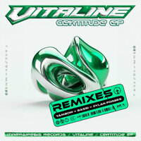 Put the Bassi Up - Vitaline & Yambow