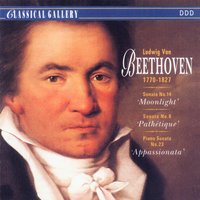 Sonata No. 8 in C Minor, Op. 13 "Pathetique": III. Rondo: Allegro - Dubravka Tomsic & Ludwig van Beethoven