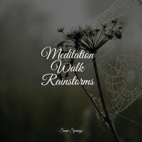Birds in the Night - 125 Nature Sounds & Sleep Lullabies for Newborn & Tranquil Music Sounds of Nature